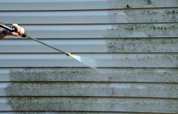 Best Building Exterior Washing  in Medulla, FL